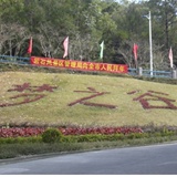 阿弥陀佛