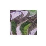 li*@163.com