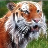 he*@sina.com