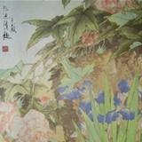 运气不好